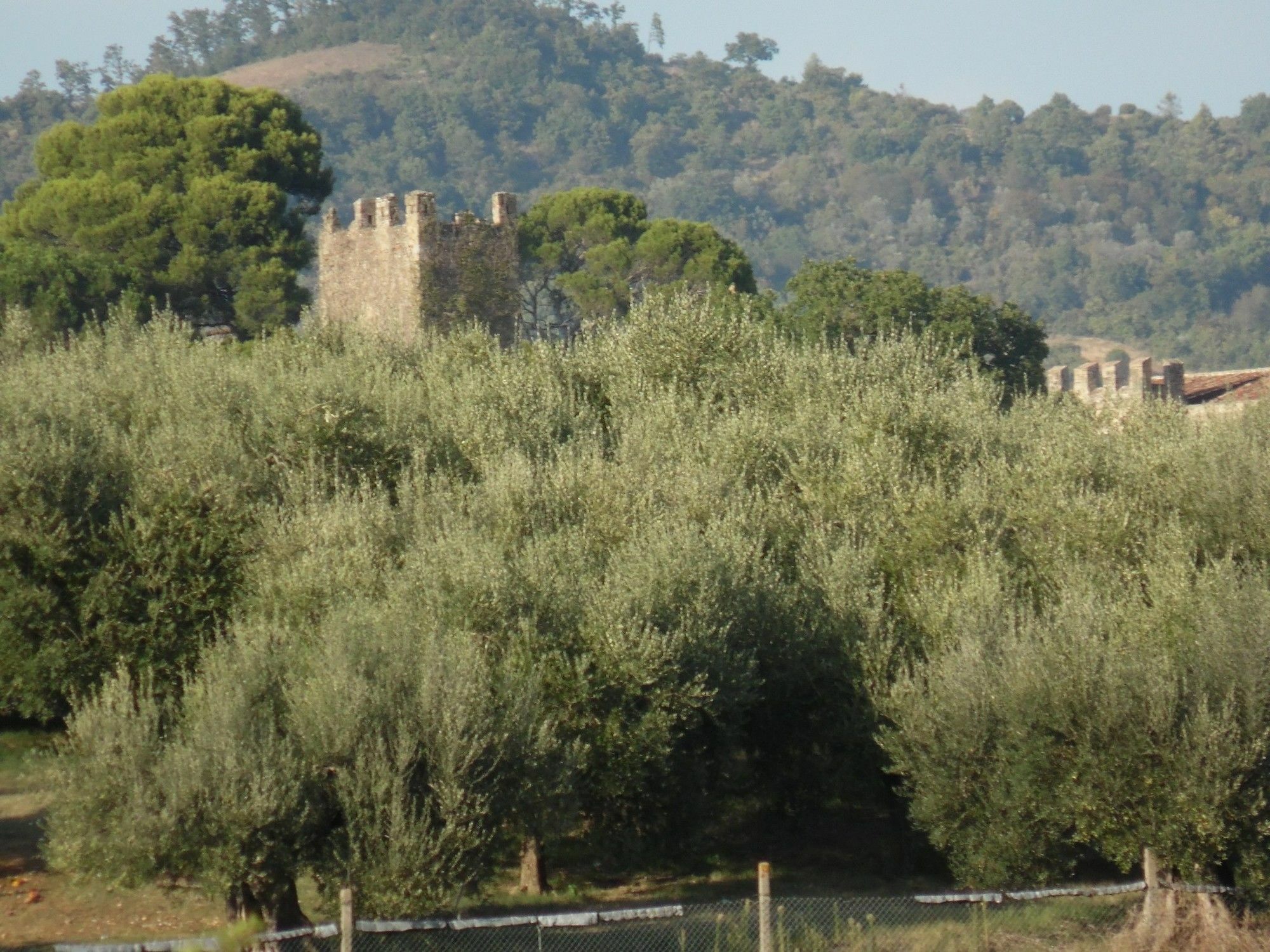 פרוג'ה Podere Caldaruccio La Pineta מראה חיצוני תמונה