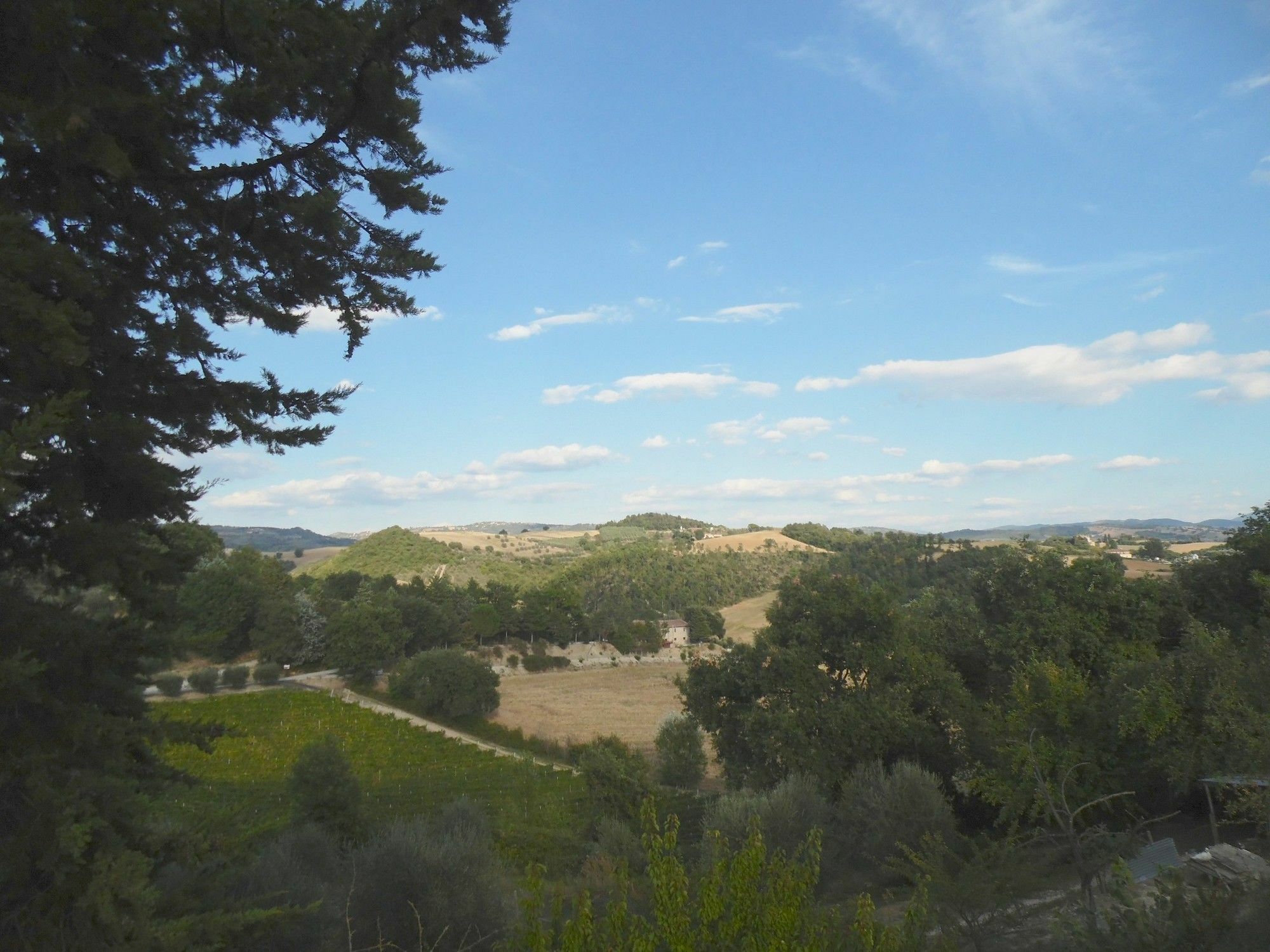 פרוג'ה Podere Caldaruccio La Pineta מראה חיצוני תמונה